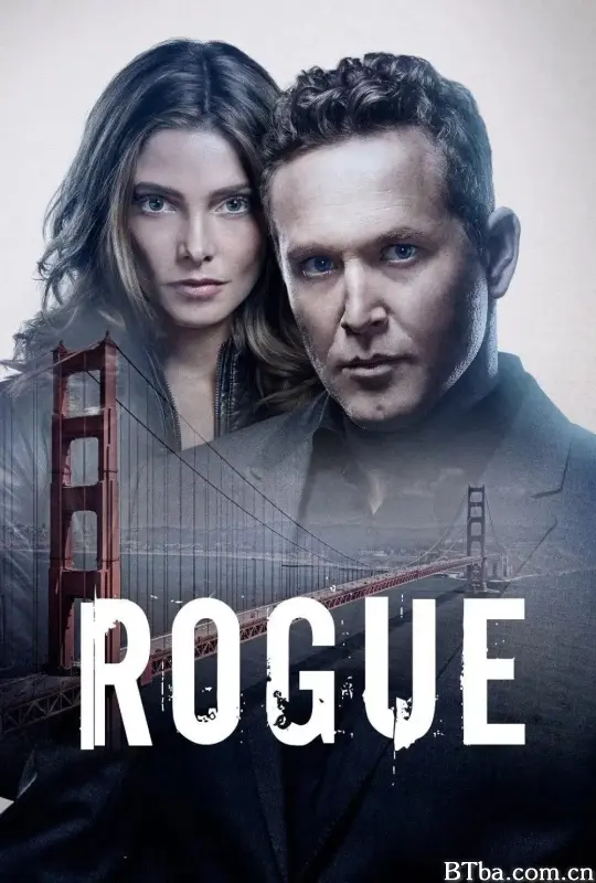 卧底情劫 第四季/Rogue Season 4