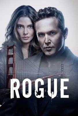 卧底情劫 第四季/Rogue Season 4