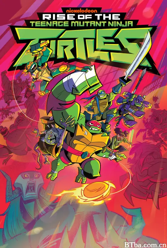 忍者神龟：崛起 第一季/Rise of the Teenage Mutant Ninja Turtles Season 1
