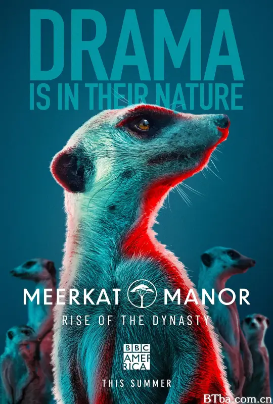猫鼬庄园：王朝的崛起 第一季/Meerkat Manor: Rise of the Dynasty Season 1