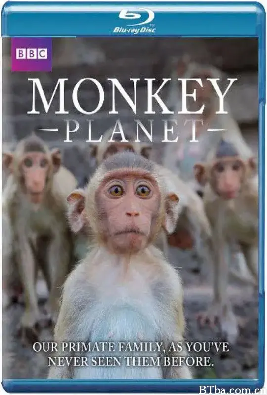 猩猿星球 第一季/Monkey Planet Season 1