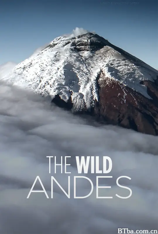野性安第斯/The Wild Andes