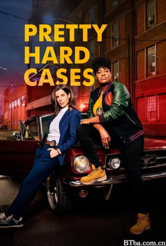 相当棘手的案件 第一季/Pretty Hard Cases Season 1