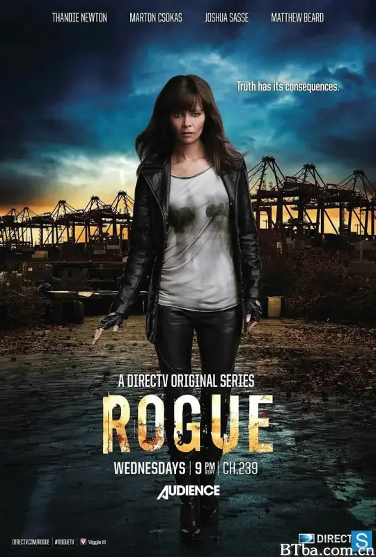 卧底情劫 第一季/Rogue Season 1