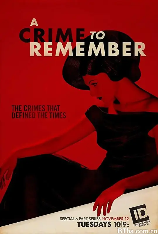 震惊罪案 第一季/A Crime to Remember Season 1