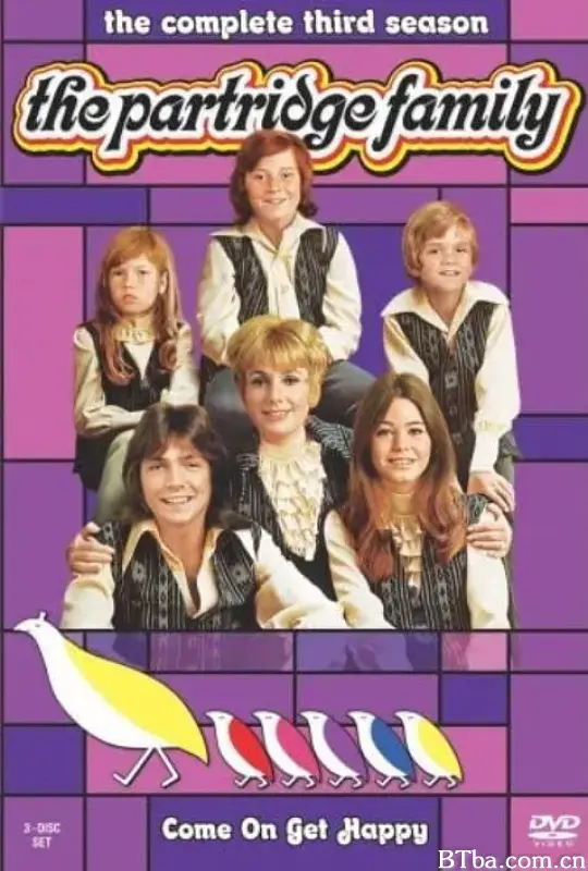 鹧鸪家庭/The Partridge Family