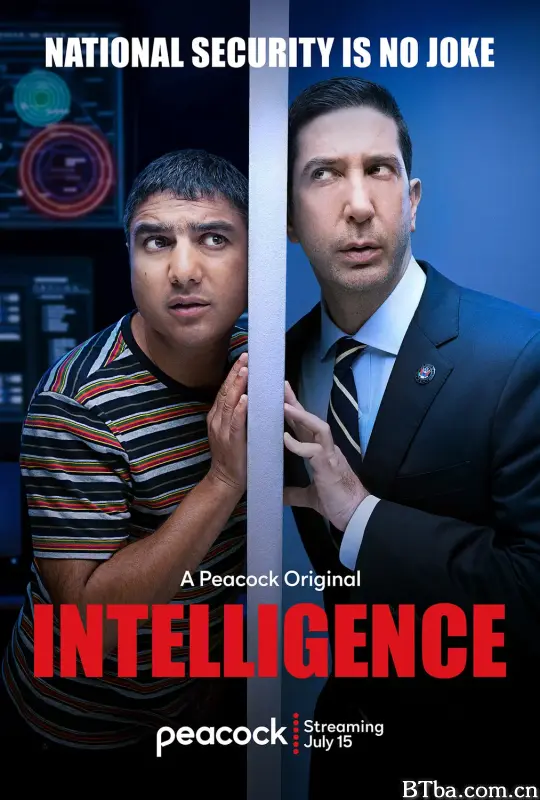 不靠谱情报局 第一季/Intelligence Season 1