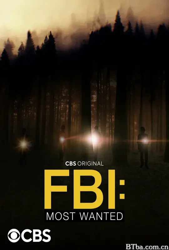 联邦调查局：通缉要犯 第四季/FBI: Most Wanted Season 4
