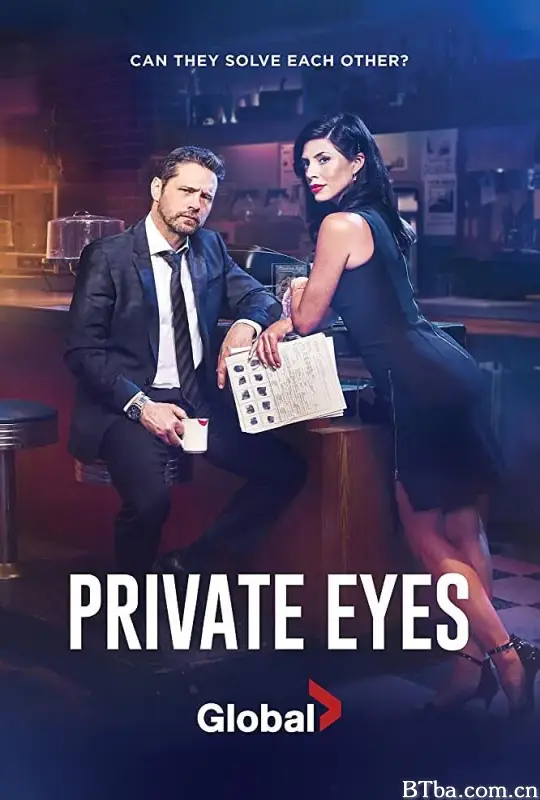 私家侦探 第四季/Private Eyes Season 4