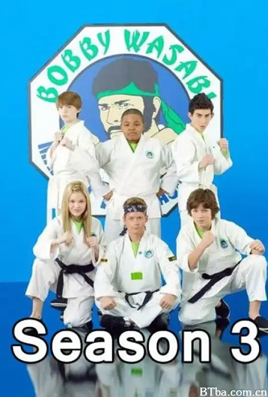 欢乐道场 第三季/Kickin' It Season 3