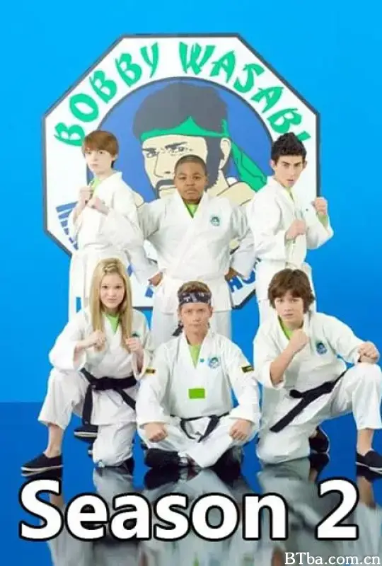 欢乐道场 第二季/Kickin' It Season 2