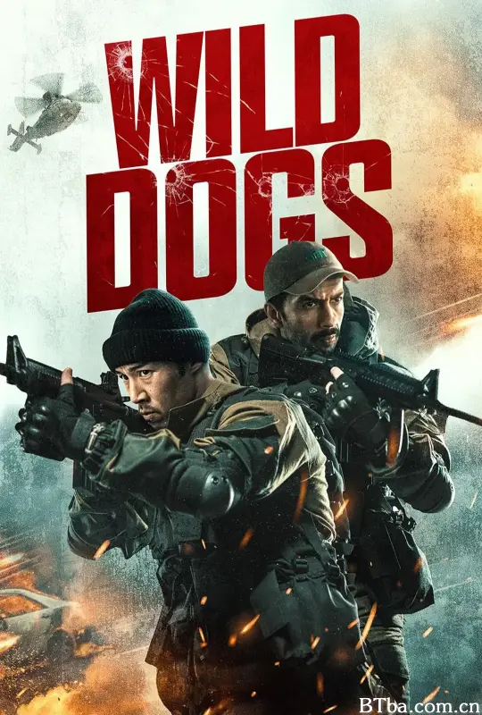 金与野狗/Jin and the Wild Dog