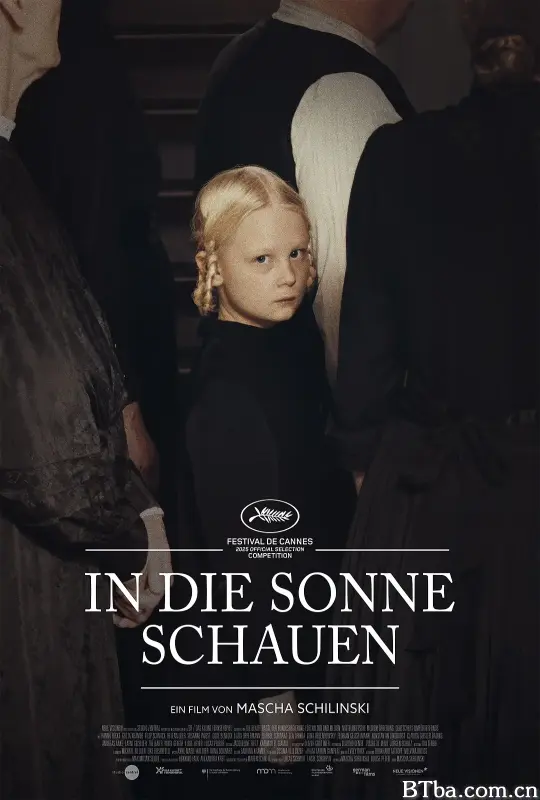 望向太阳/In die Sonne schauen