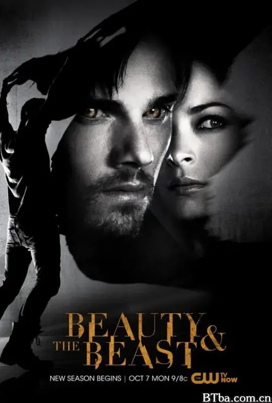 侠胆雄狮 第二季/Beauty and the Beast Season 2