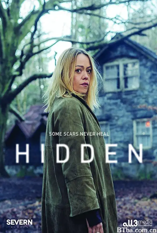 隐情 第二季/Hidden Season 2