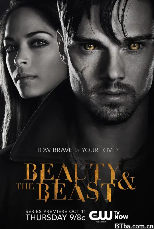 侠胆雄狮 第一季/Beauty and the Beast Season 1