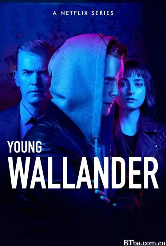 青年维兰德 第二季/Young Wallander Season 2