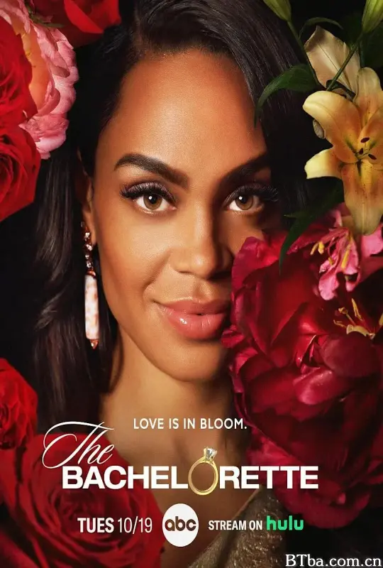 钻石单身汉 第十八季/The Bachelorette Season 18