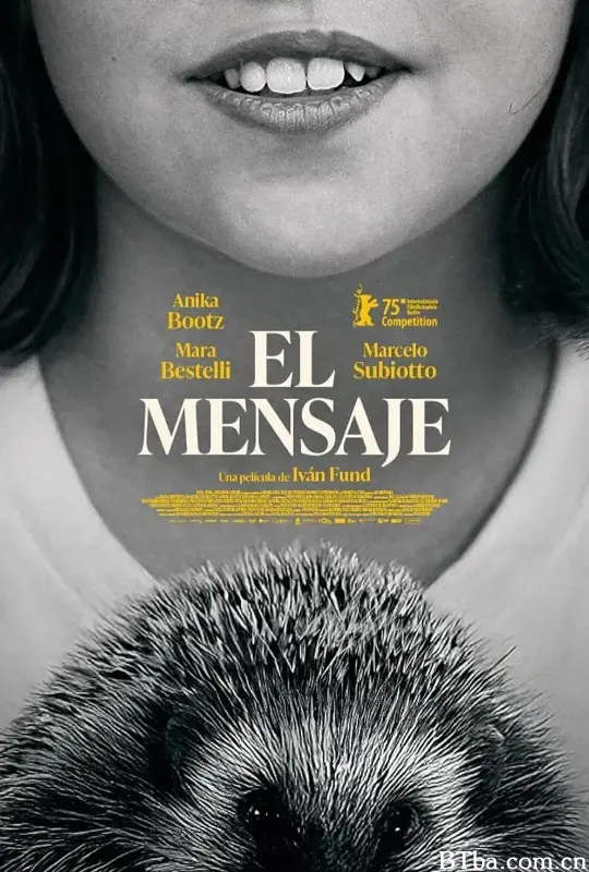 音讯/El Mensaje
