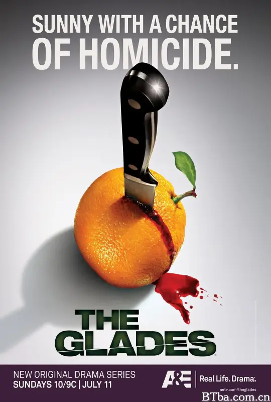 血迷棕榈 第一季/The Glades Season 1