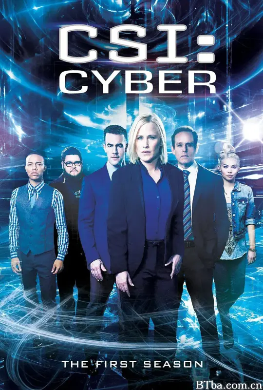网络犯罪调查 第一季/CSI: Cyber Season 1