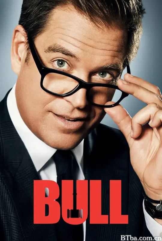 庭审专家 第四季/Bull Season 4