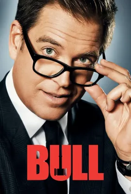 庭审专家 第四季/Bull Season 4