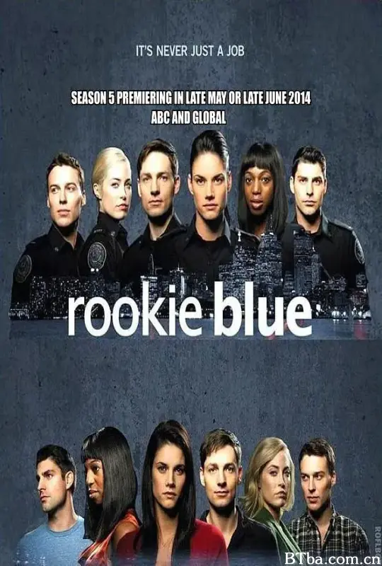 青涩警队 第五季/Rookie Blue Season 5