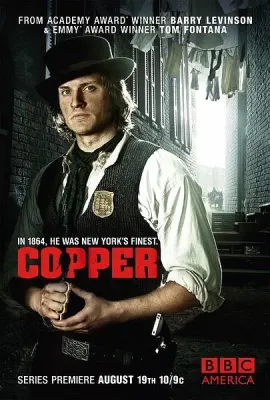纽约警察故事 第二季/Copper Season 2