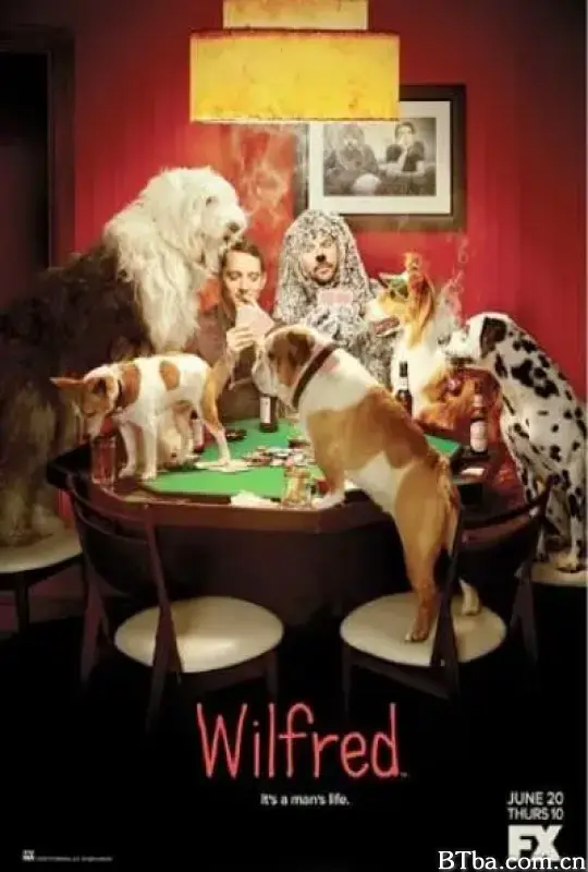 犬友笑传 第三季/Wilfred Season 3