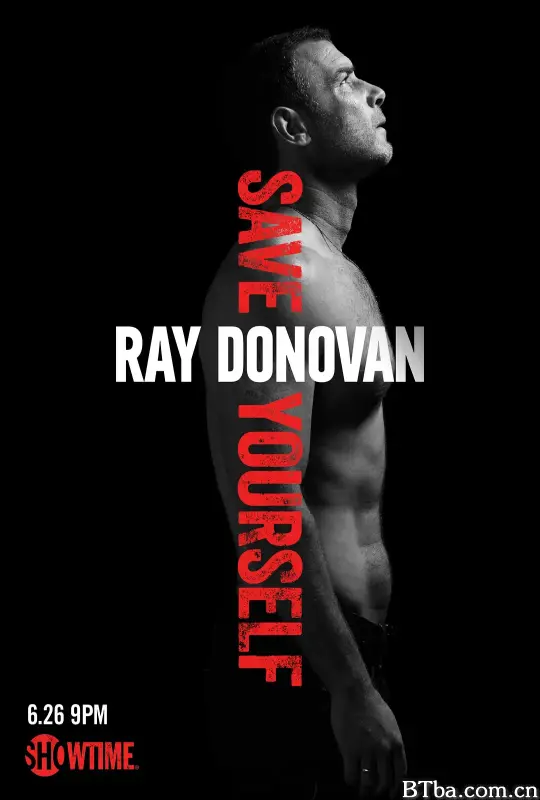 清道夫 第四季/Ray Donovan Season 4