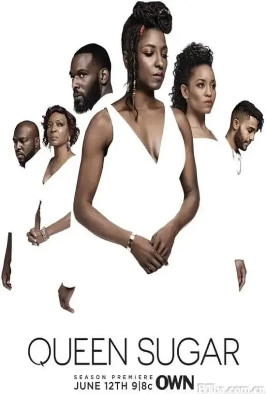 蔗糖女王 第四季 Queen Sugar Season 4 (2019) 1080P/720P BT磁力 迅雷网盘下载