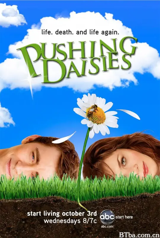 灵指神探 第一季/Pushing Daisies Season 1