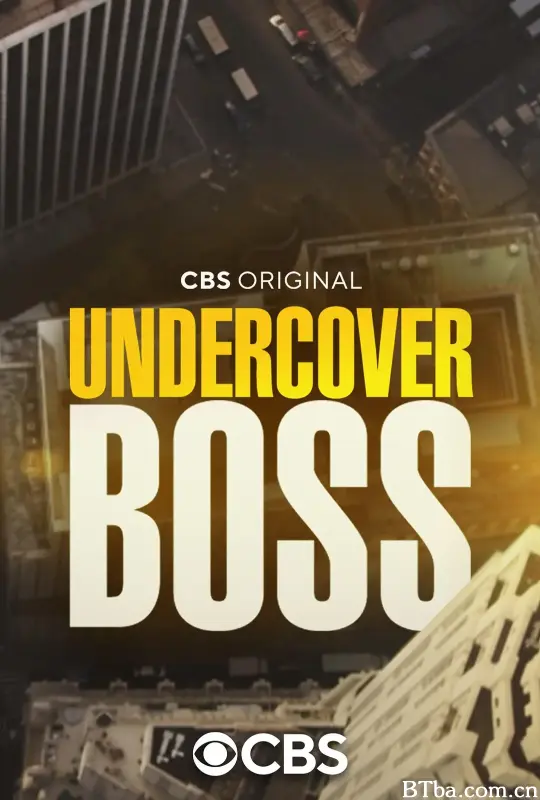 卧底老板 第十一季/Undercover Boss Season 11
