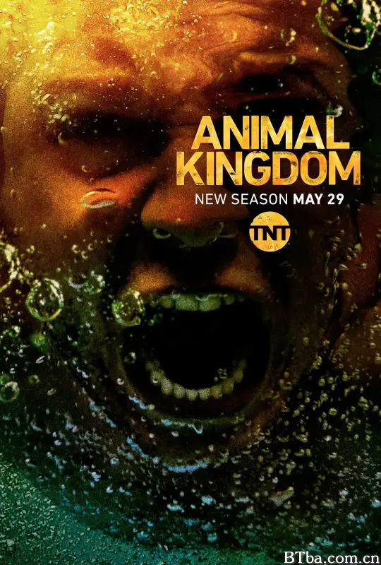 野兽家族 第三季/Animal Kingdom Season 3