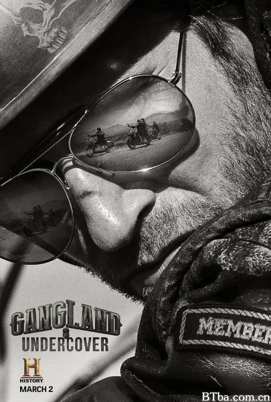 黑帮卧底 第二季/Gangland Undercover Season 2