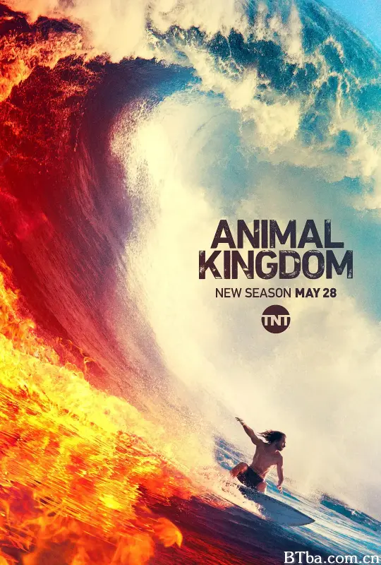 野兽家族 第四季/Animal Kingdom Season 4