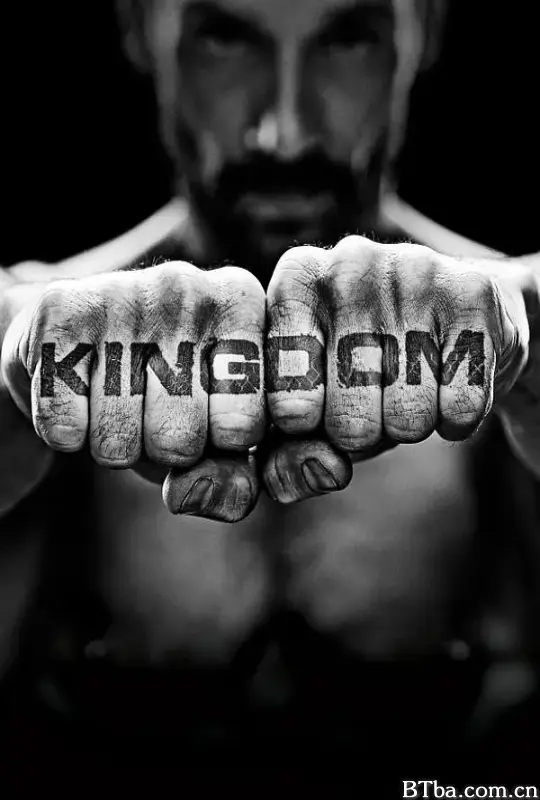 搏击王国 第二季/Kingdom Season 2