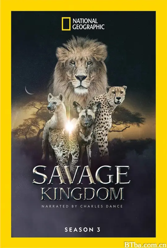 野蛮王国 第三季/Savage Kingdom Season 3