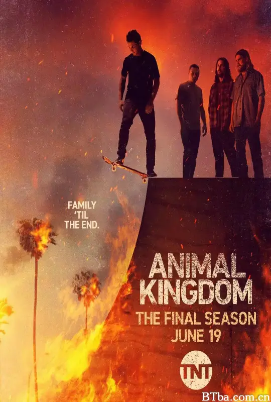 野兽家族 第六季/Animal Kingdom Season 6