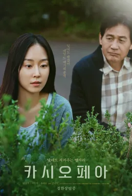 仙后座/카시오페아