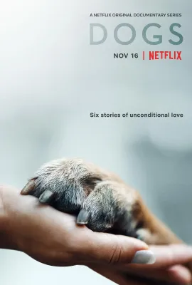 爱犬情深 第二季/Dogs Season 2