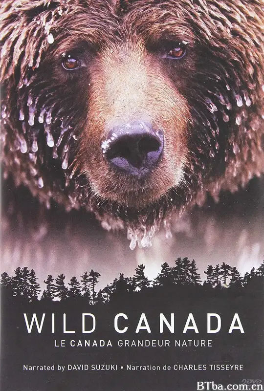 野性加拿大/Wild Canada