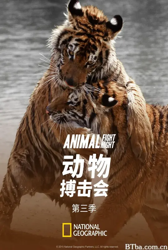 动物搏击会 第三季/Animal Fight Club Season 3