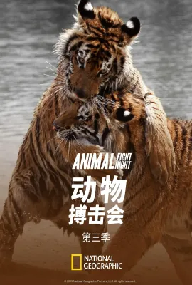 动物搏击会 第三季/Animal Fight Club Season 3