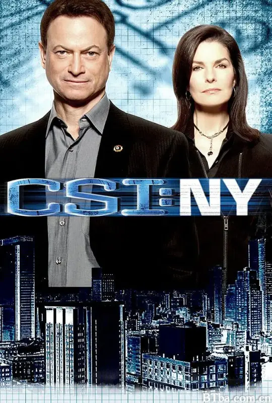 犯罪现场调查：纽约 第七季/CSI: NY Season 7