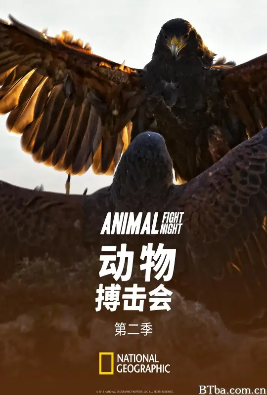 动物搏击会 第二季/Animal Fight Club Season 2