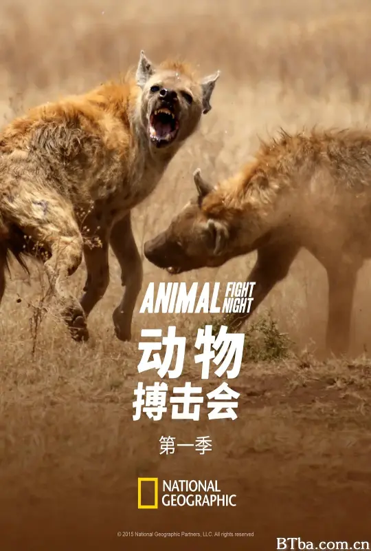 动物搏击会 第一季/Animal Fight Night Season 1
