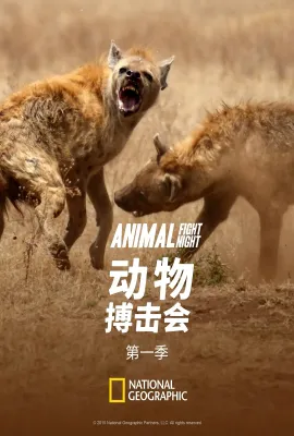 动物搏击会 第一季/Animal Fight Night Season 1