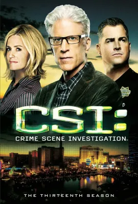 犯罪现场调查 第十三季/CSI: Crime Scene Investigation Season 13